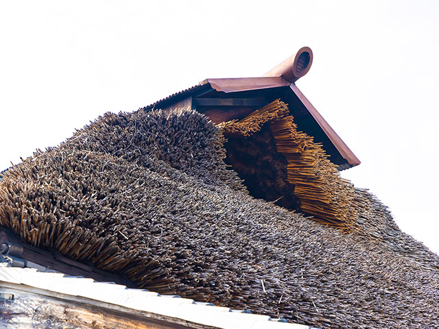 ヨシ葺き屋根は、自然独特の美しさがあります。